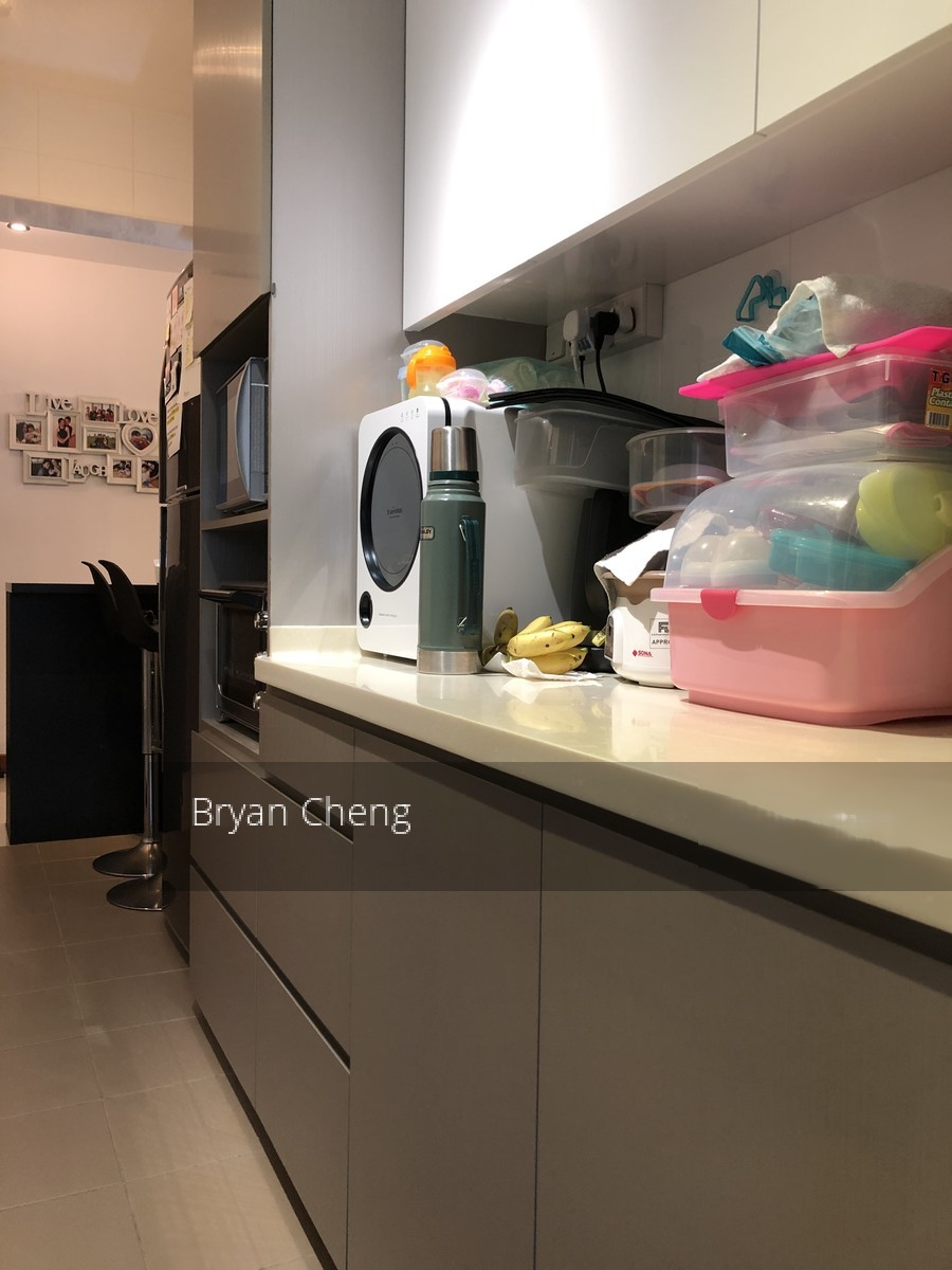 Blk 282A Sengkang East Avenue (Sengkang), HDB 4 Rooms #211415861